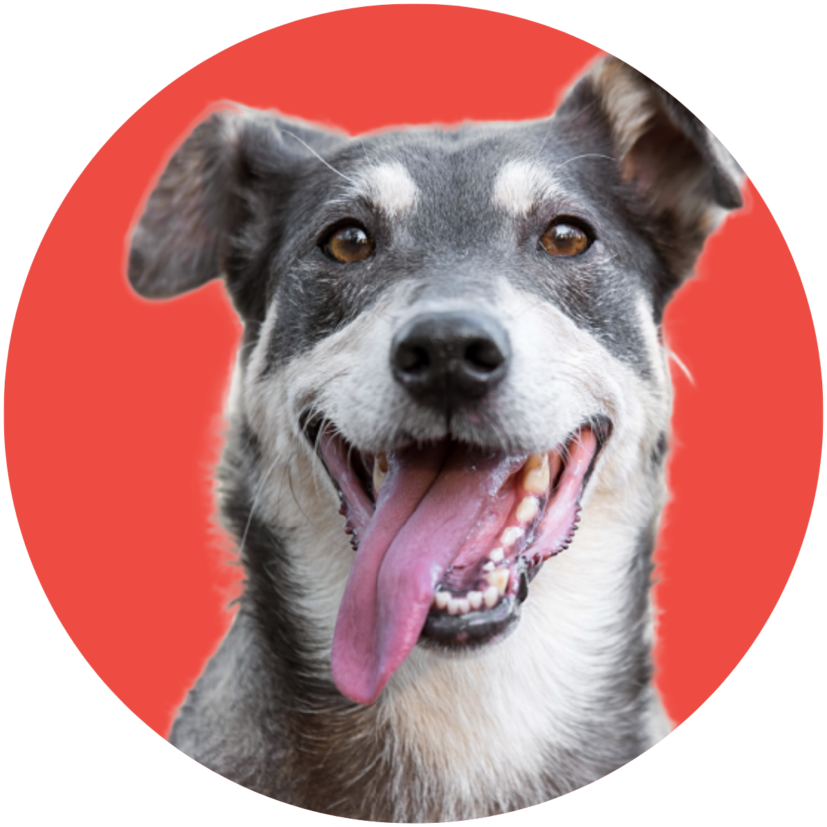 Fort Lee Website Photos 1