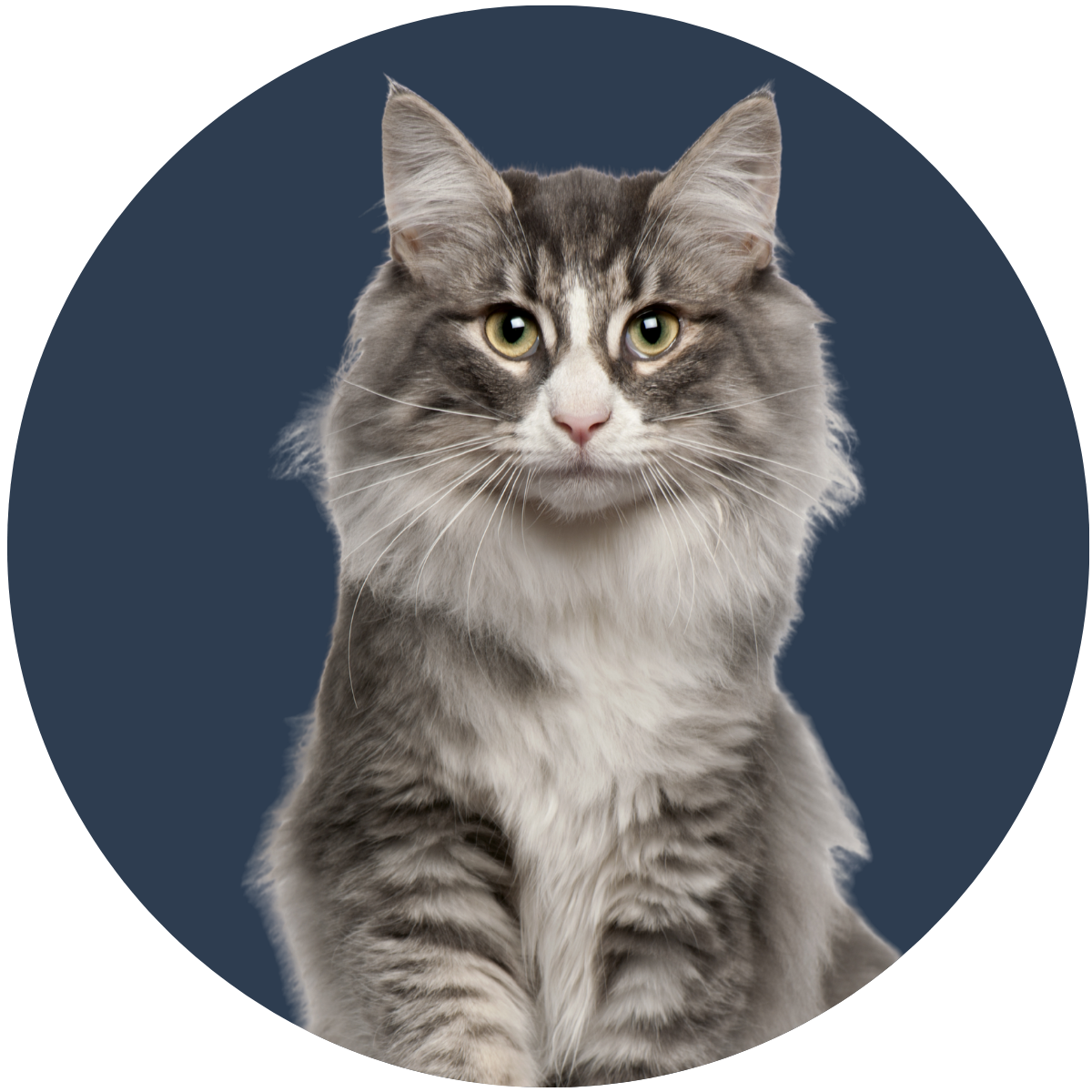 Fort Lee Website Photos 2 Fort Lee Website Photos 2