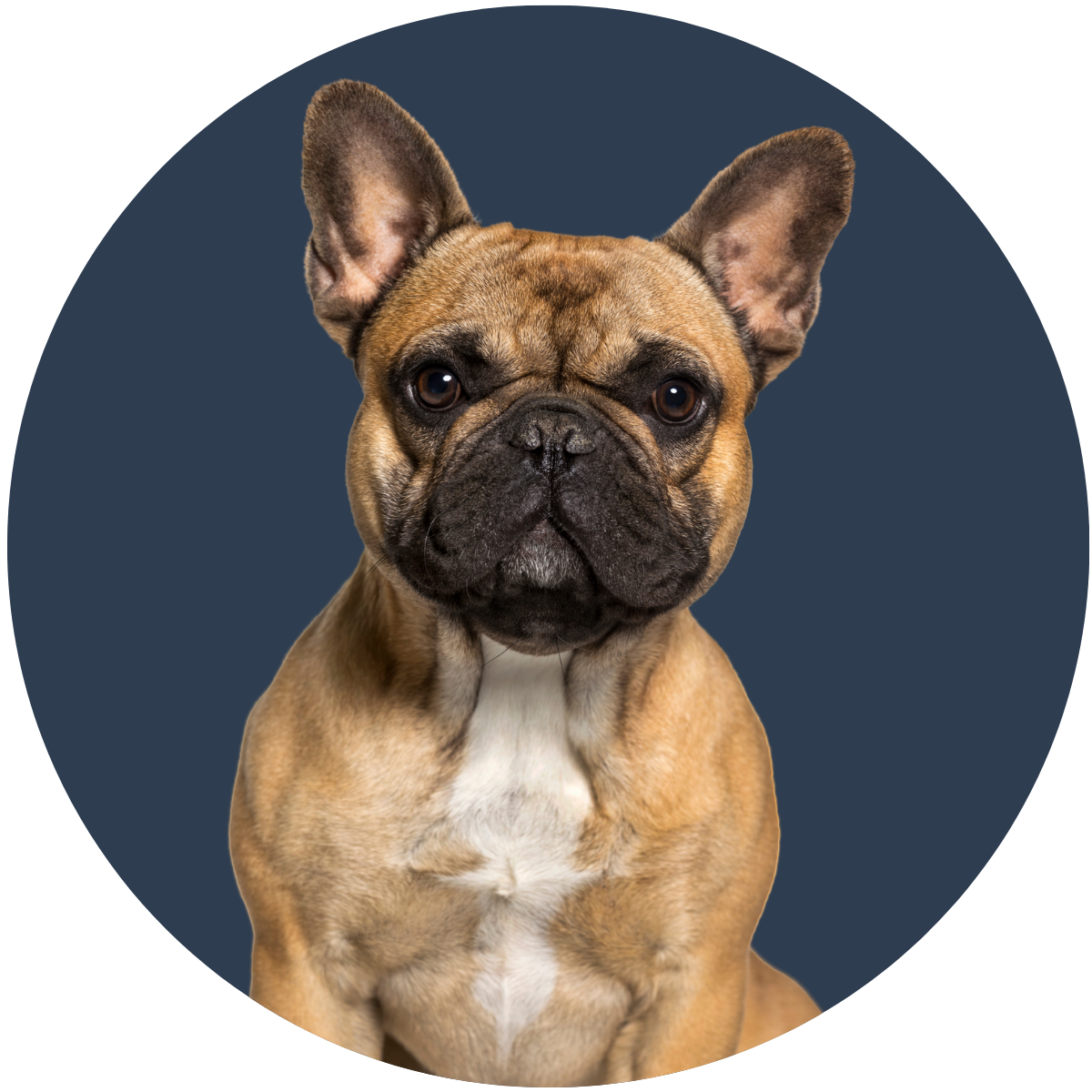 Fort Lee Website Photos 3