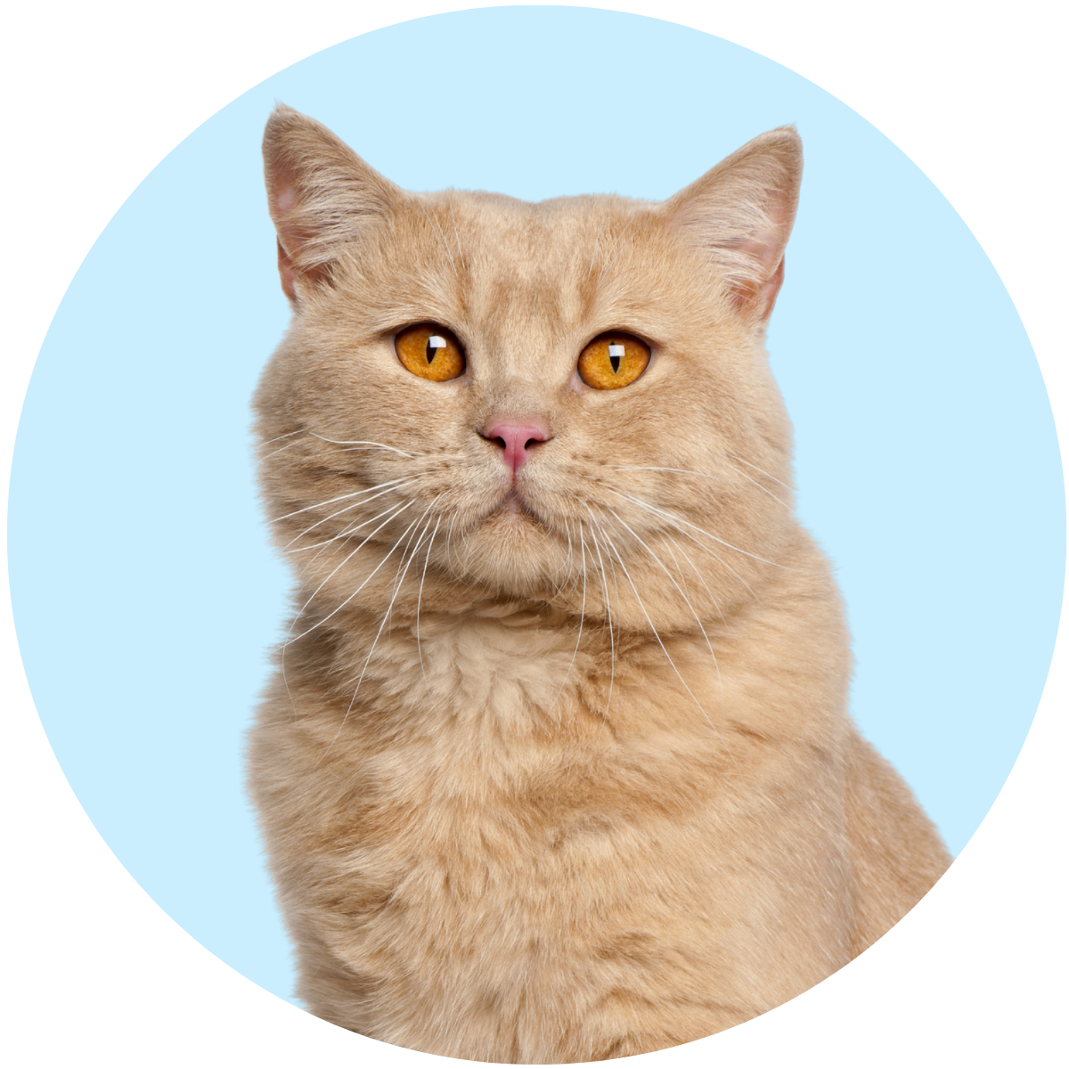 Fort Lee Website Photos 5 Fort Lee Website Photos 5