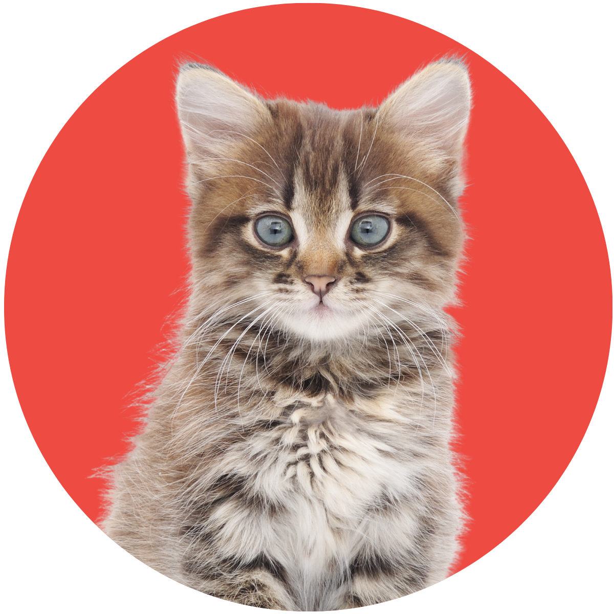 Fort Lee Website Photos 6